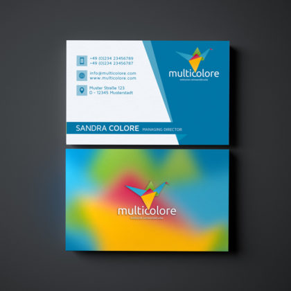 Logo-Bunter-Vogel-Origami