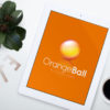 Logo-Orange-Ball-09 Logo-Orange-Ball