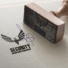 Adler Security Logo Adler Security Logo