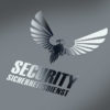 Adler Security Logo Adler Security Logo