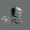 Logo Blaue Eule
