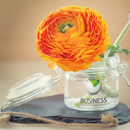 Logo Versteckte Kugel