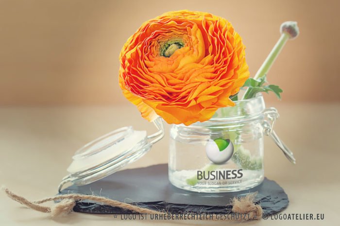 Logo Versteckte Kugel