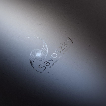 Logo Abstrakte Schnecke 2