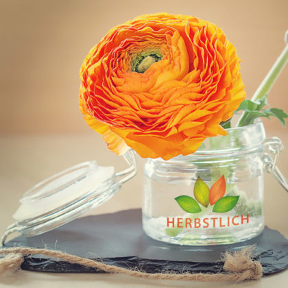 Logo Blätter Herbst