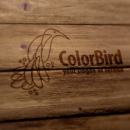Logo Bunter Vogel