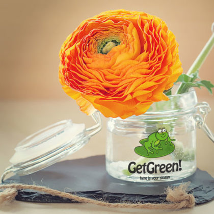 Logo Green Frog
