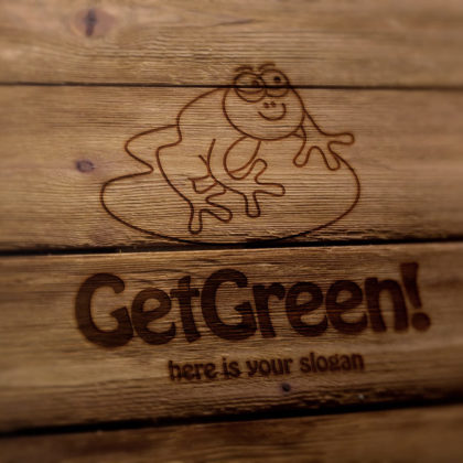 Logo Green Frog