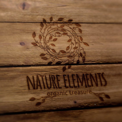 FirmenLogo Natur Elemente Nest