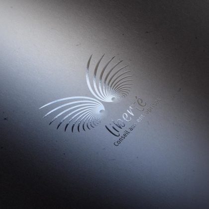 Logo Flügel Freiheit EXKLUSIVES Logo kaufen