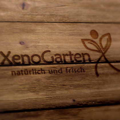 Logo Blumen Pflanzen | Buchstabe X | Natürliches Logo kaufen | LogoAtelier.eu