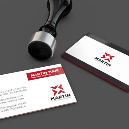 Logo Vier Pfeile Konstruktion Geometrisch Geometrie Kraft Planung Power Rot Fertiges Logo EXKLUSIV kaufen Logoshop LogoAtelier.eu