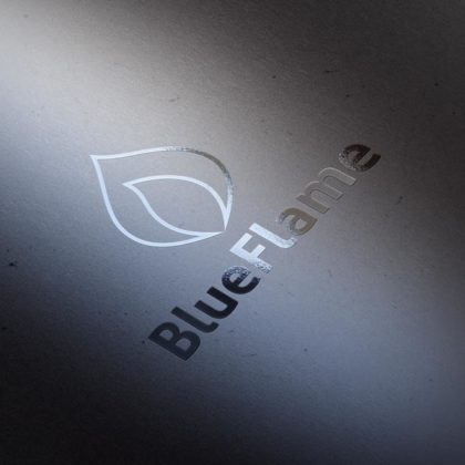 Logo Blaue Flamme kalt heiss fertiges Logo kaufen Logoshop Logoatelier.eu