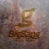 Logo kaufen Buchstabe G Knall Effekt Jung Dynamisch Sterne BigBang Sensation Wow LogoShop Cooles Logo kaufen LogoAtelier