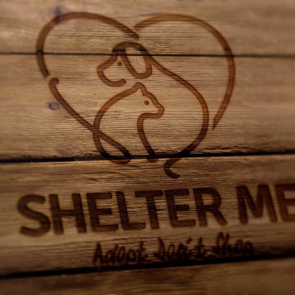Tierschutz Logo Hund Katze Tierschutz EXKLUSIVES Logo kaufen Fertiges Logo kaufen LogoShop Vereinslogo Verein Gemeinschaft Tierliebe Tierschutzverein Shelter Fellnasen LogoAtelier