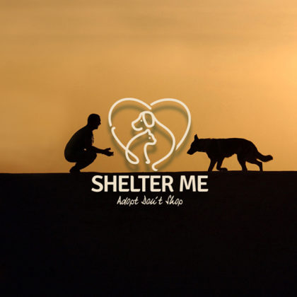 Tierschutz Logo Hund Katze Tierschutz EXKLUSIVES Logo kaufen Fertiges Logo kaufen LogoShop Vereinslogo Verein Gemeinschaft Tierliebe Tierschutzverein Shelter Fellnasen LogoAtelier