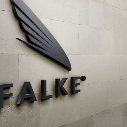 Logo Falke Wendig Schnell Sicher Flug Adler Vogel Tier Selbstbewusst Dynamik Scharfsinn Erfahrung Intelligenz Krasses Logo kaufen LogoShop Logoatelier.eu