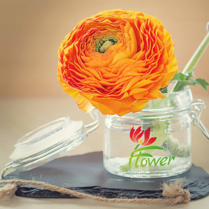 Pflanzen Logo kaufen Grünes Logo Blumen Dekoration Urlaub Florales Florist Südsee Blüte Schönheit Logo mit Blumen Vektor Logo kaufen Dekoration Elegantes Logo kauten LogoShop LogoAtelier.eu