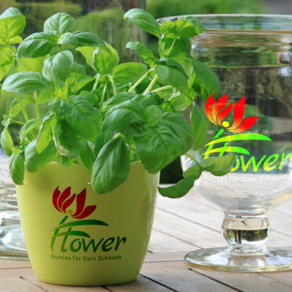 Pflanzen Logo kaufen Grünes Logo Blumen Dekoration Urlaub Florales Florist Südsee Blüte Schönheit Logo mit Blumen Vektor Logo kaufen Dekoration Elegantes Logo kauten LogoShop LogoAtelier.eu