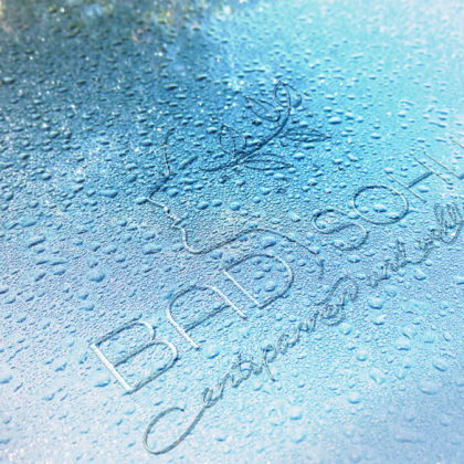 Logo Beauty Wellness Spa Entspannen Entspannung Wohlfühlen Erholung Urlaub Gesicht Frau Wasser Kosmetik Pflege Zart Fein Fertiges Logo kaufen LogoShop LogoAtelier.eu