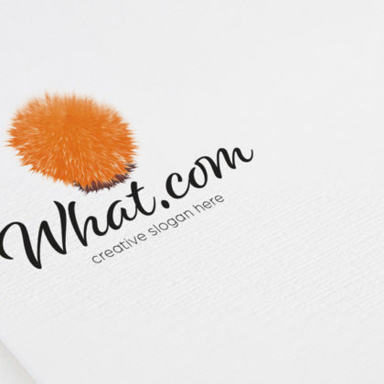 Flauschiges Logo Spitzes Logo Virus Bakterien Flauschig Spitz Rund Ball Interessant Orange Weich Schaffell Stern Soft Lustig What Leicht Schaf Fertiges Logo kaufen LogoShop LogoAtelier.eu