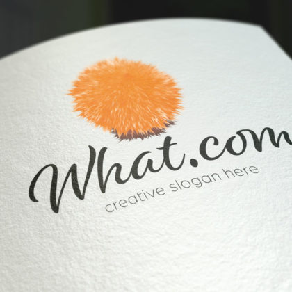 Flauschiges Logo Spitzes Logo Virus Bakterien Flauschig Spitz Rund Ball Interessant Orange Weich Schaffell Stern Soft Lustig What Leicht Schaf Fertiges Logo kaufen LogoShop LogoAtelier.eu