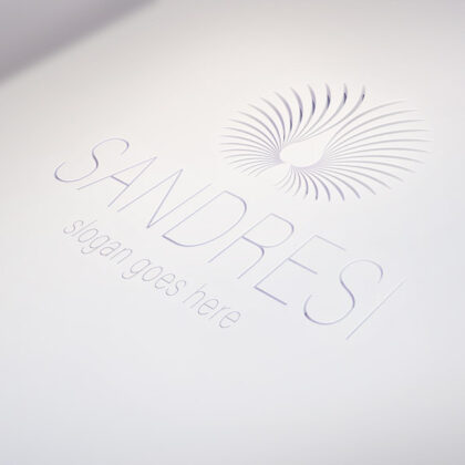 Erhabenes Logo kaufen Logo Fliegen Adler Beruhigend Bewusstsein Zwilling Spiegelung Kraft Heilung Ruhe Wachstum Wurzel Harmonie Fertiges Logo kaufen LogoShop LogoAtelier.eu