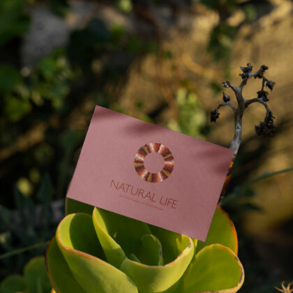 Logo Natur Spirituell Ayurveda Yoga Massage Erde Kugel Kreis Natürliches Leben Floral Spa Weisheit Wellness Fertiges Logo kaufen LogoShop LogoAtelier.de