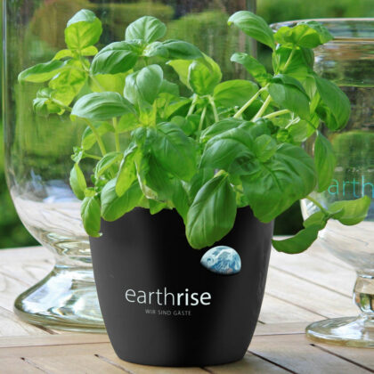 Logo Earthrise Erde Erdenaufgang Naturschutz Achtsam Energie Umweltfreundlich Spirituell Blau Entwicklung Frieden Global Grün Menschen Veränderung Fertiges Logo kaufen Logoshop Logoatelier.eu
