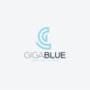 Technisches Logo Buchstabe G Software Technik Kompetenz Vision Innovation Zukunft Ökologie Giga Gigabyte Leistung Blau Freiheit Trend Leidenschaft Werte Lösungen Logo kaufen Logoshop LogoAtelier.eu