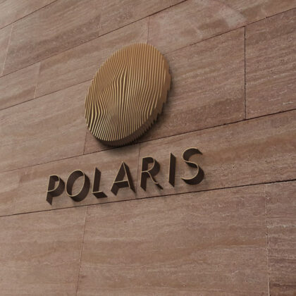 Logo Polarstern Polaris Nordstern Nordlichter Aurora Südlicht Linien Kreis Nordpol Kühl Nacht Himmel Fertiges Logo kaufen Logoshop LogoAtelier.eu
