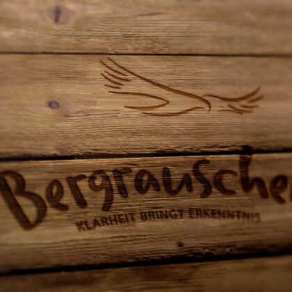 Logo Sinn des Lebens Klarheit Erkenntnis Adler Bergrauschen Berge Weisheit Gipfelrausch Höhenflug Wichtiges Identität Träume Ziele Freiheit Frieden Fertiges Logo kaufen Logoshop Logoatelier.eu