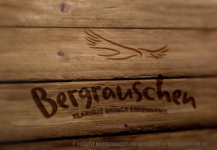 Logo Sinn des Lebens Klarheit Erkenntnis Adler Bergrauschen Berge Weisheit Gipfelrausch Höhenflug Wichtiges Identität Träume Ziele Freiheit Frieden Fertiges Logo kaufen Logoshop Logoatelier.eu