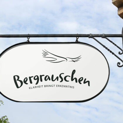 Logo Sinn des Lebens Klarheit Erkenntnis Adler Bergrauschen Berge Weisheit Gipfelrausch Höhenflug Wichtiges Identität Träume Ziele Freiheit Frieden Fertiges Logo kaufen Logoshop Logoatelier.eu