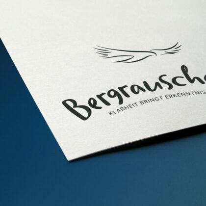 Logo Sinn des Lebens Klarheit Erkenntnis Adler Bergrauschen Berge Weisheit Gipfelrausch Höhenflug Wichtiges Identität Träume Ziele Freiheit Frieden Fertiges Logo kaufen Logoshop Logoatelier.eu