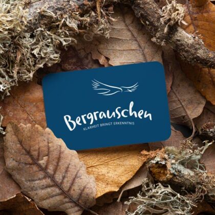 Logo Sinn des Lebens Klarheit Erkenntnis Adler Bergrauschen Berge Weisheit Gipfelrausch Höhenflug Wichtiges Identität Träume Ziele Freiheit Frieden Fertiges Logo kaufen Logoshop Logoatelier.eu