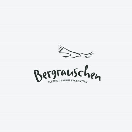 Logo Sinn des Lebens Klarheit Erkenntnis Adler Bergrauschen Berge Weisheit Gipfelrausch Höhenflug Wichtiges Identität Träume Ziele Freiheit Frieden Fertiges Logo kaufen Logoshop Logoatelier.eu