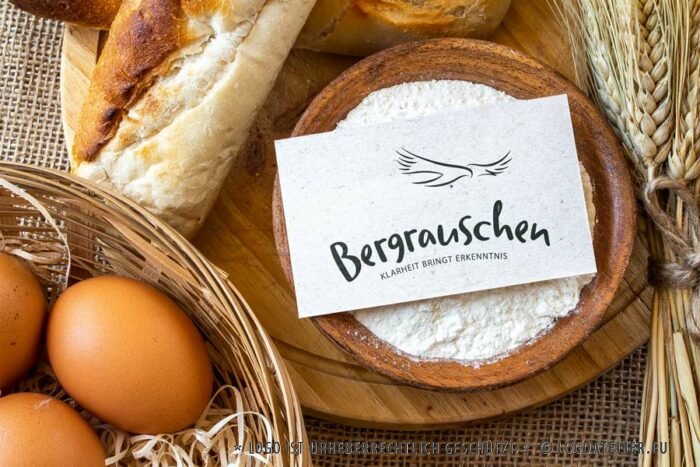 Logo Sinn des Lebens Klarheit Erkenntnis Adler Bergrauschen Berge Weisheit Gipfelrausch Höhenflug Wichtiges Identität Träume Ziele Freiheit Frieden Fertiges Logo kaufen Logoshop Logoatelier.eu