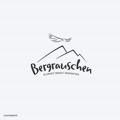 Logo Sinn des Lebens Klarheit Erkenntnis Adler Bergrauschen Berge Weisheit Gipfelrausch Höhenflug Wichtiges Identität Träume Ziele Freiheit Frieden Fertiges Logo kaufen Logoshop Logoatelier.eu