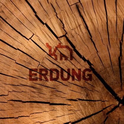 Exklusives Logo Stabilität Stier Schutz Sicherheit Realität Erdung Bodenhaftung Gleichgewicht Ruhe Stärke Selbstverteidigung Einbruchschutz Fertiges Logo kaufen Logoshop Logoatelier.de