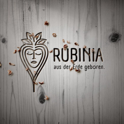 Naturschutz Logo Rüben Karotte Erde Schutz der Natur Wurzel Natur Seele Einklang Träumen Gesicht Naturbewusstsein Rhythmus Wachsen Wesen Fertiges Logo kaufen Logoshop Logoatelier.eu